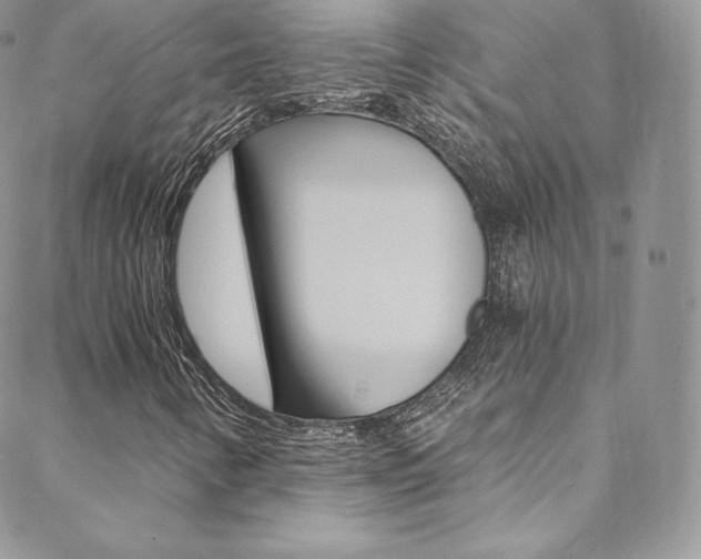 X0000088841346200706071140
