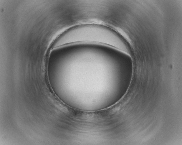 X0000088841364200706071140