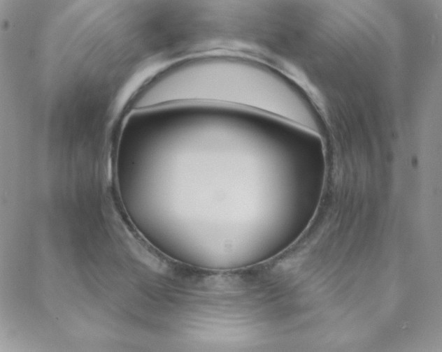 X0000088841368200706071140