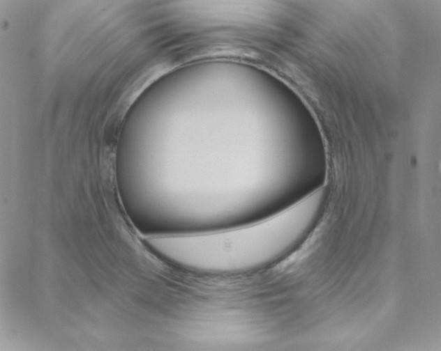 X0000088841369200706071140