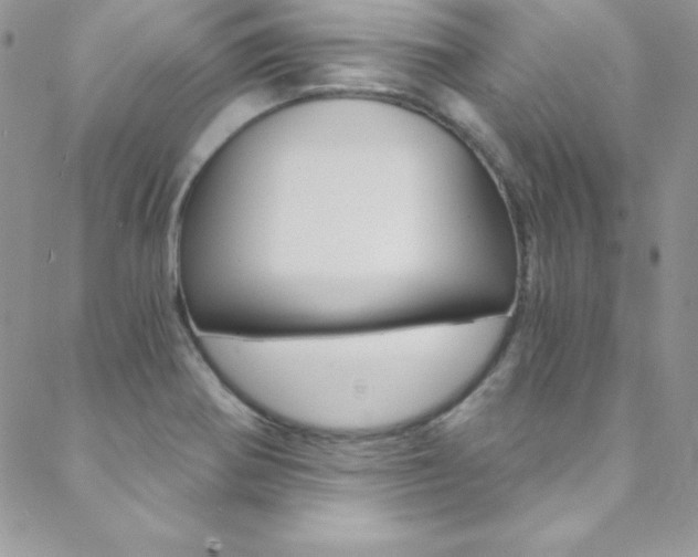 X0000088841370200706071140