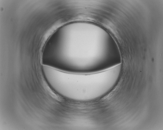 X0000088841371200706071140