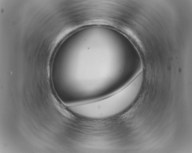 X0000088841372200706071140