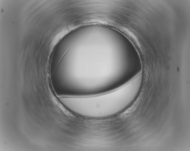 X0000088841373200706071140
