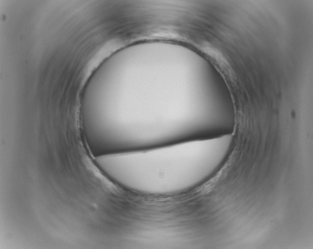 X0000088841374200706071140