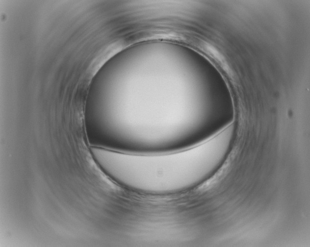 X0000088841377200706071140