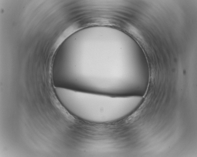 X0000088841378200706071140