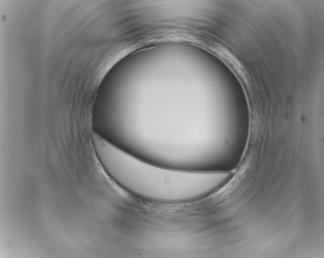 X0000088841385200706071140