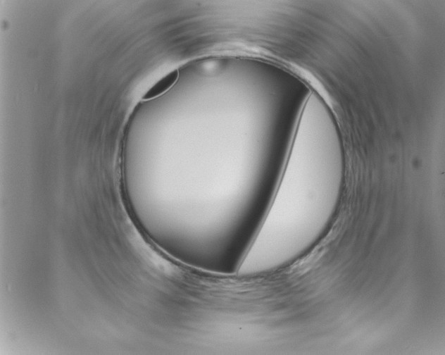 X0000088841387200706071140