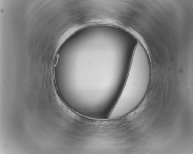 X0000088841389200706071140