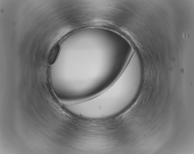 X0000088841410200706071139