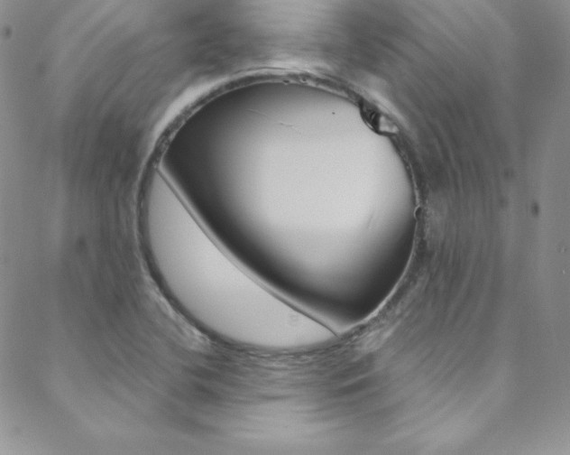X0000088841412200706071139