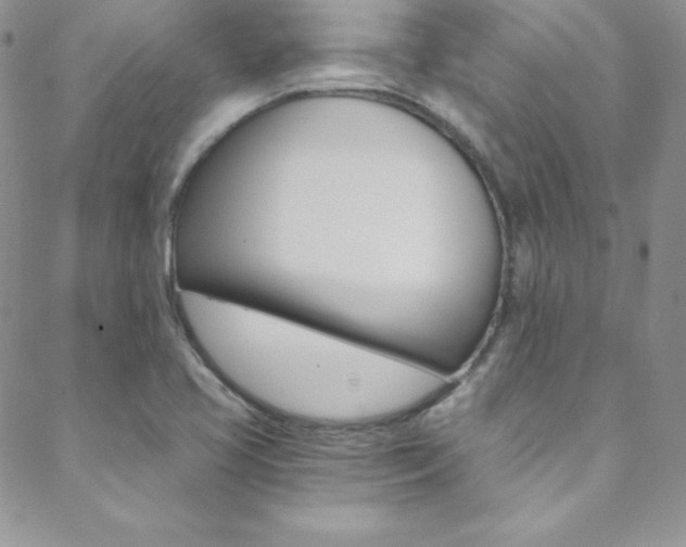 X0000088841413200706071139