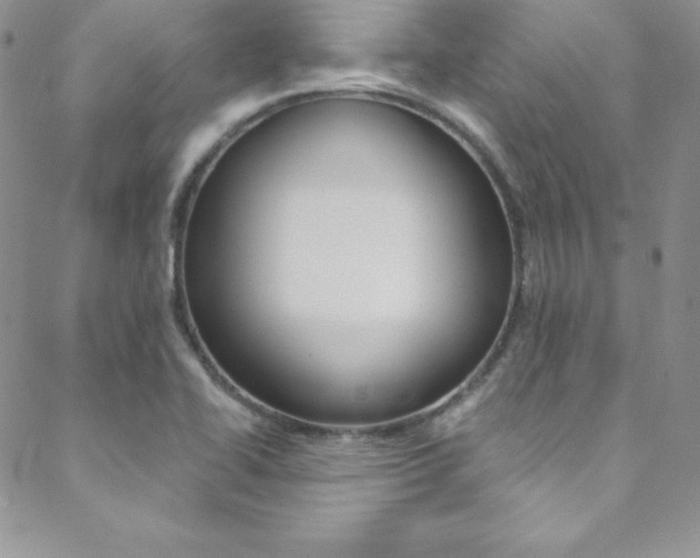 X0000088841414200706071139