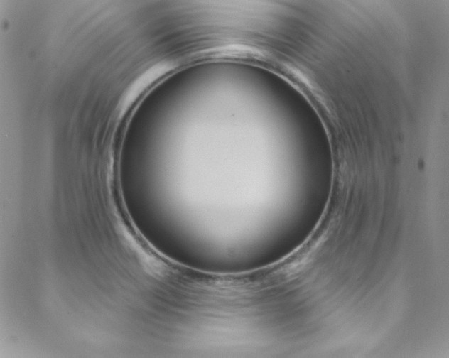 X0000088841418200706071139