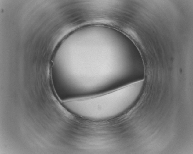 X0000088841420200706071139