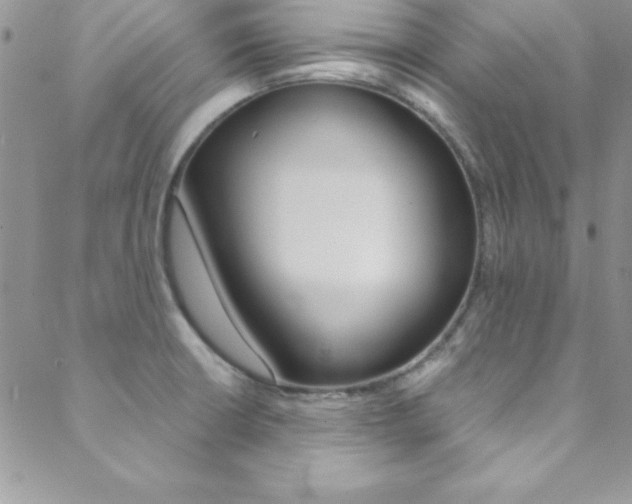 X0000088841426200706071139