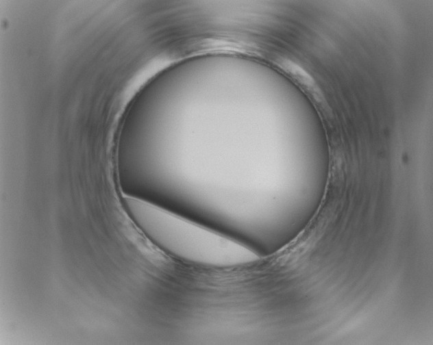 X0000088841427200706071139