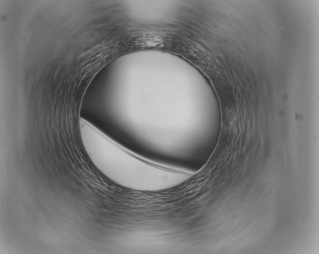 X0000088841442200706071139