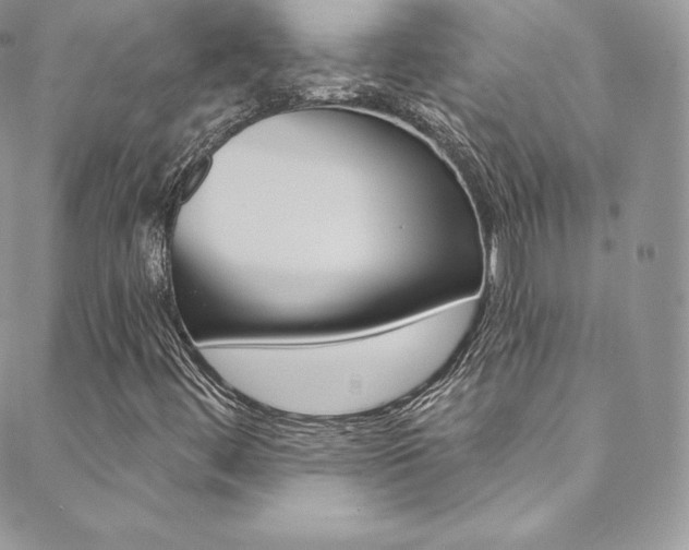 X0000088841444200706071139