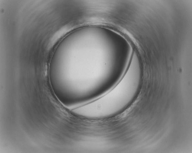 X0000088841461200706071138