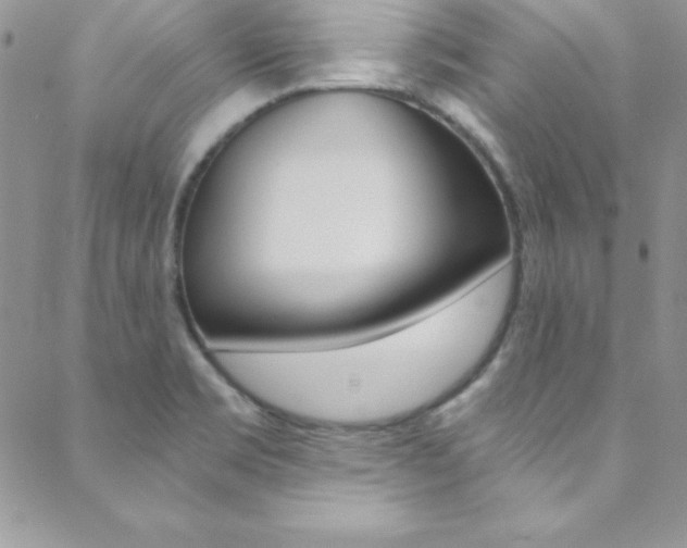 X0000088841469200706071138
