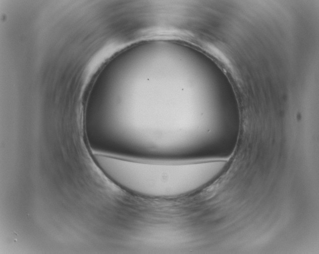 X0000088841472200706071138