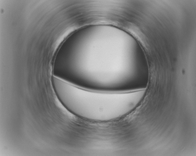 X0000088841476200706071138