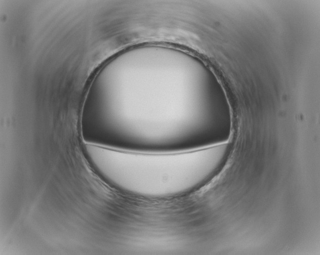 X0000088841505200706071137