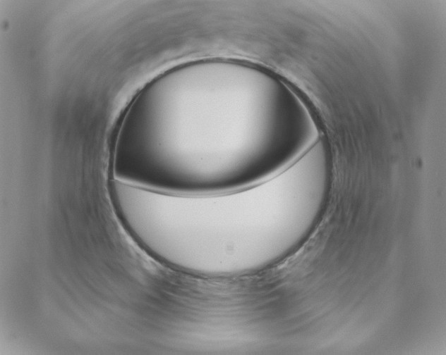 X0000088841508200706071137