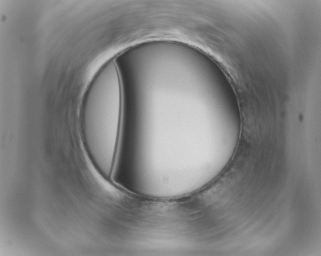 X0000088841519200706071138