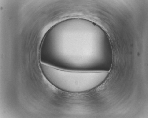 X0000088841527200706071138