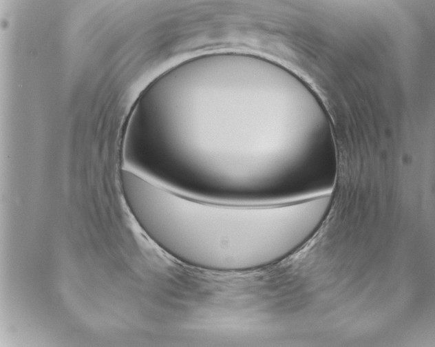 X0000088841534200706071138