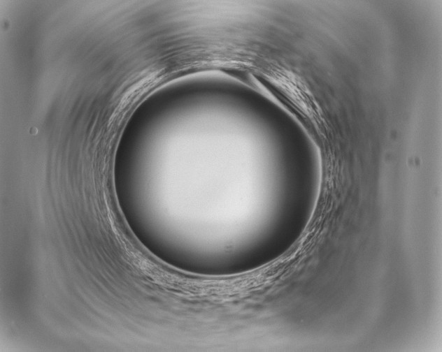 X0000088840001200706071431