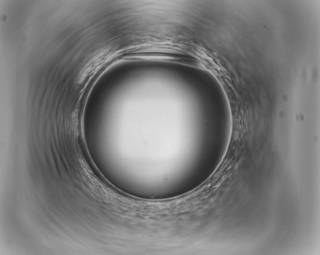 X0000088840002200706071431