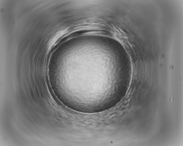 X0000088840003200706071431