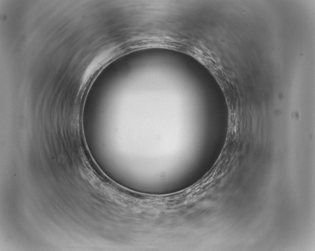 X0000088840004200706071431