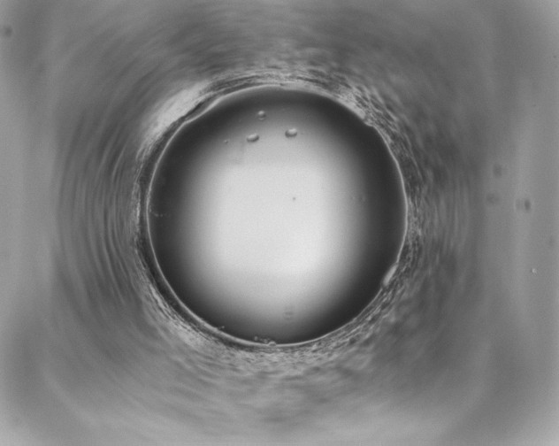 X0000088840005200706071431