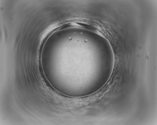 X0000088840006200706071431