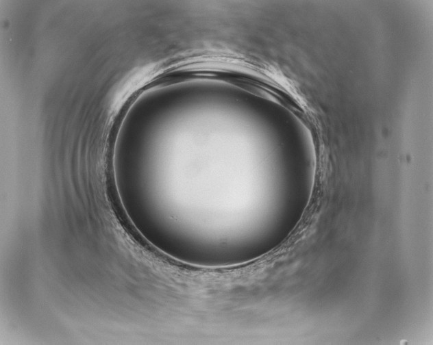 X0000088840007200706071431