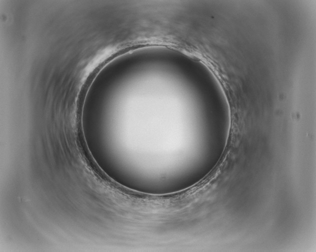 X0000088840008200706071431