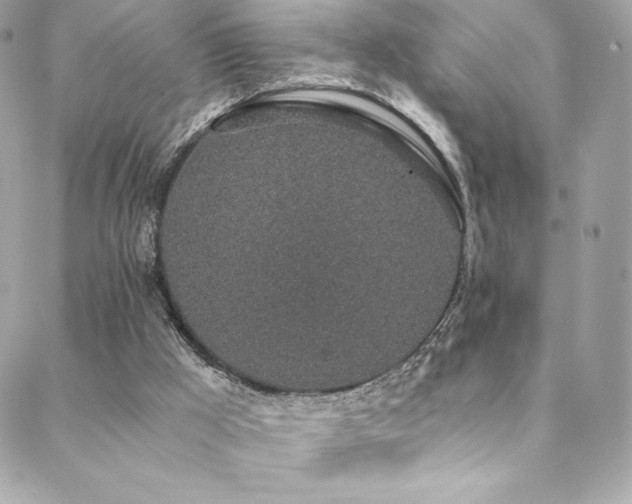 X0000088840009200706071431