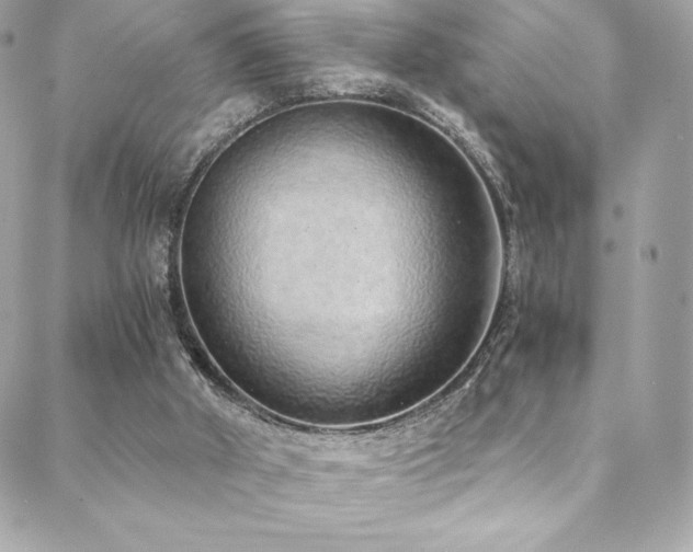 X0000088840010200706071431