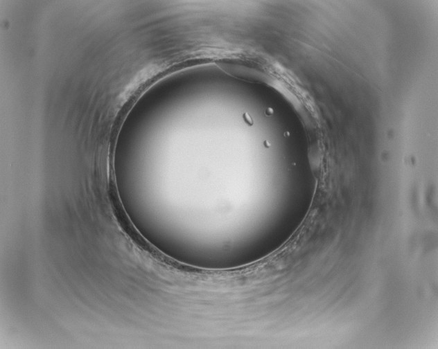 X0000088840011200706071431