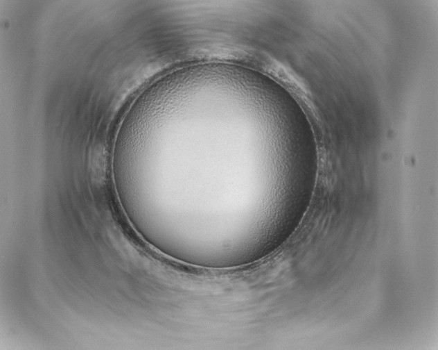 X0000088840012200706071431