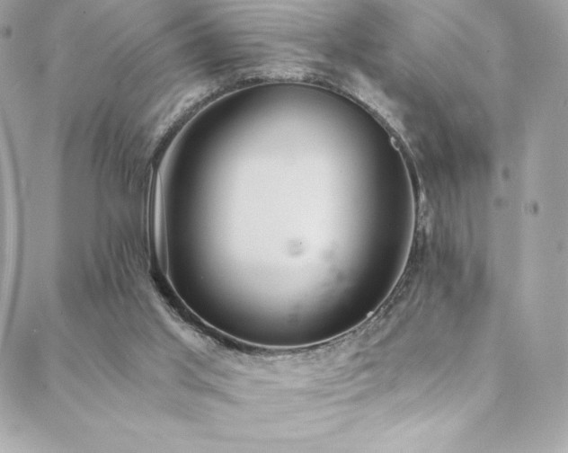 X0000088840013200706071431