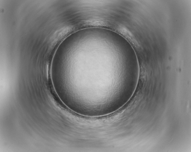 X0000088840014200706071431