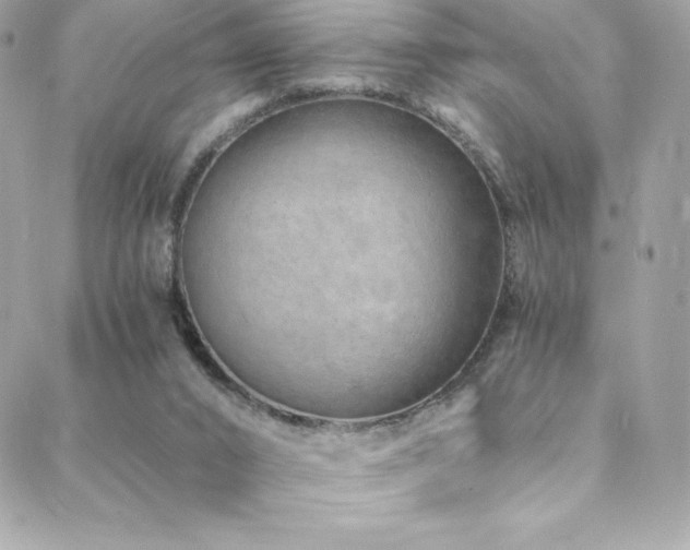 X0000088840016200706071431