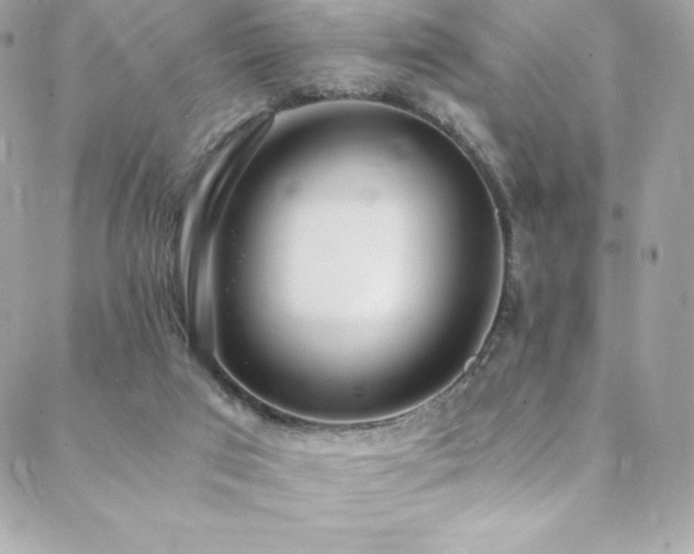 X0000088840017200706071431