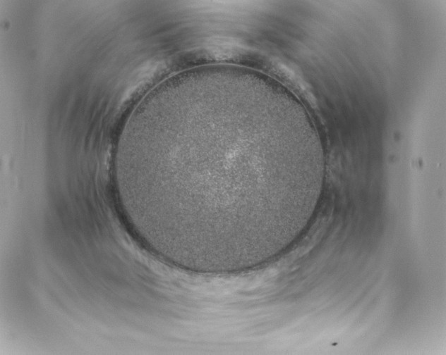 X0000088840018200706071431